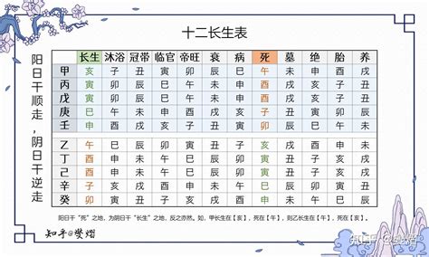 12长生